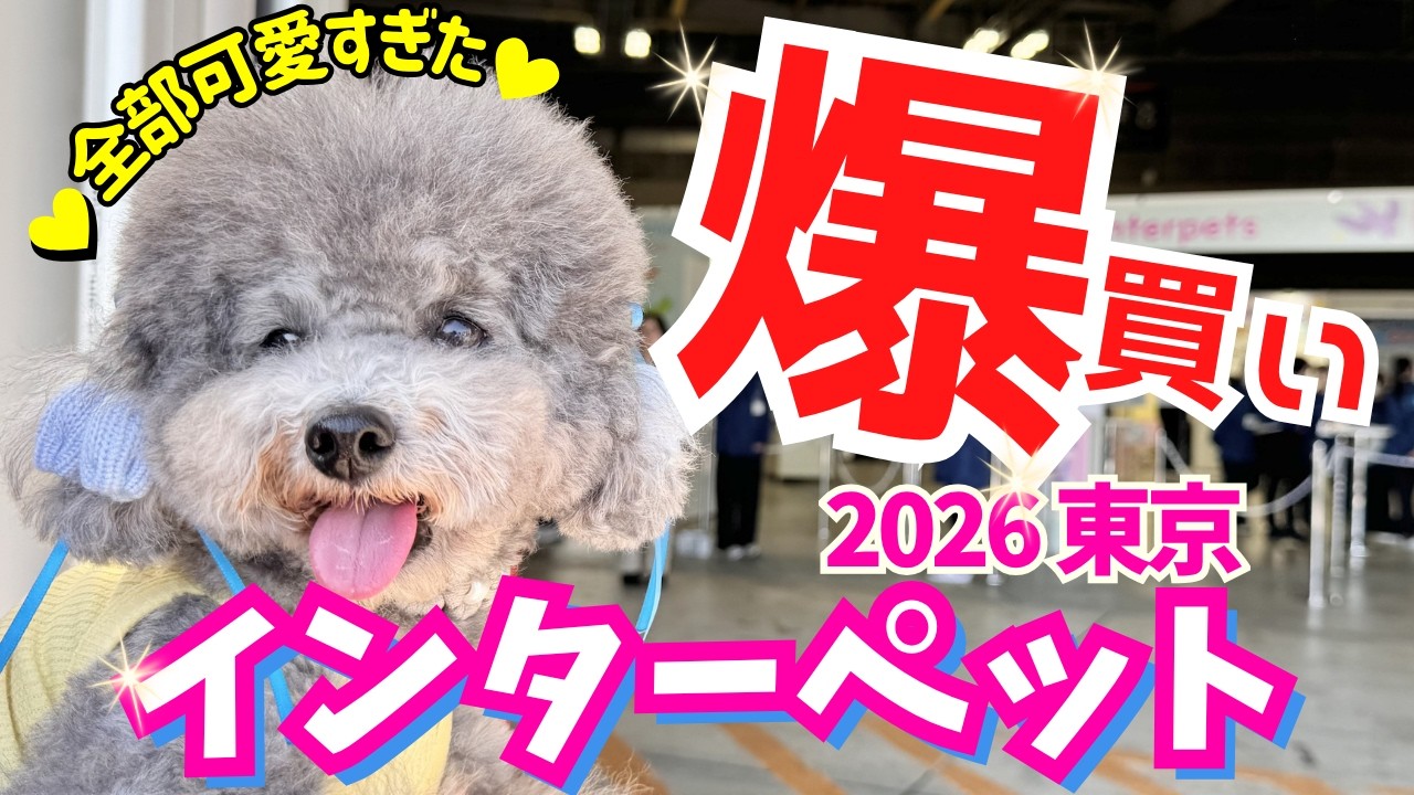 【インターペット2026】速報！日本最大級のペットイベントで爆買い〇〇万円！【東京ビッグサイト】【犬イベント】1日目前編 【厳選出展者17社紹介・過去最大級600社】