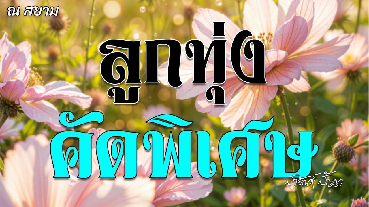 ลูกทุ่งคัดพิเศษ | สายัณห์ สัญญา | #นักเพลงคนจน  #ปิดห้องร้องไห้ #พลัดคู่