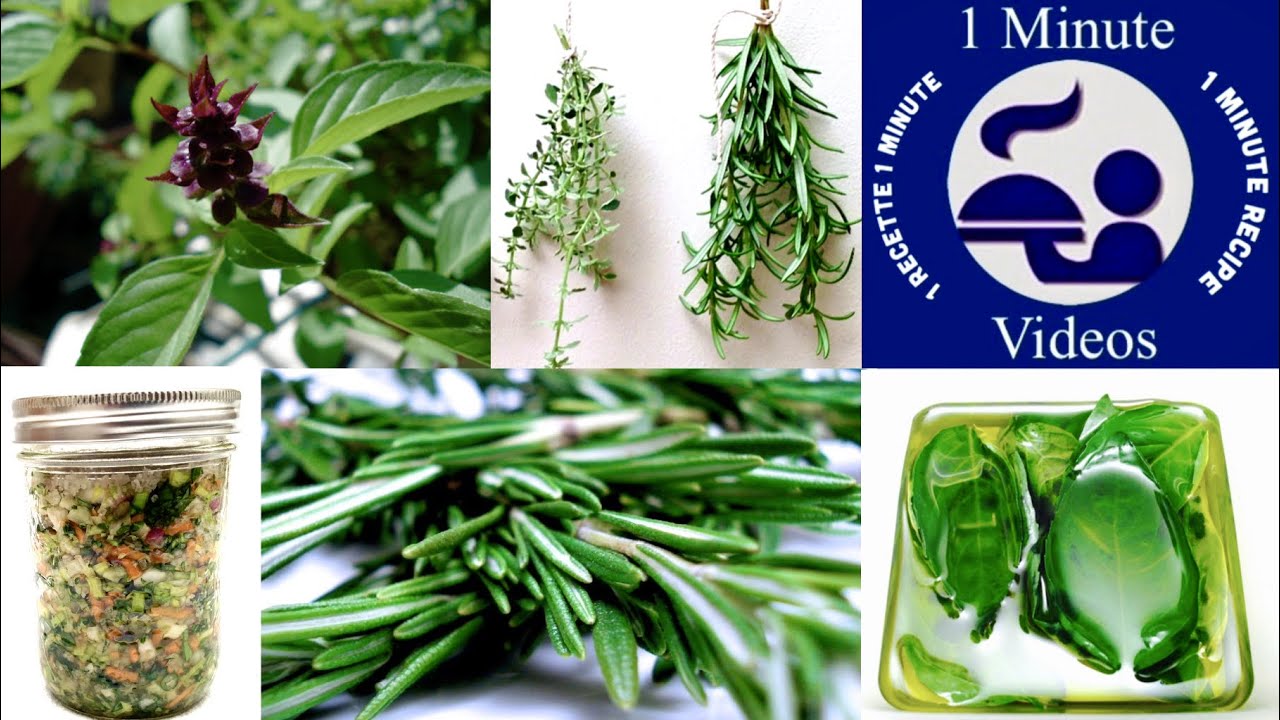 5 Astuces pour Conserver les Fines Herbes / Simple & Facile à Réaliser