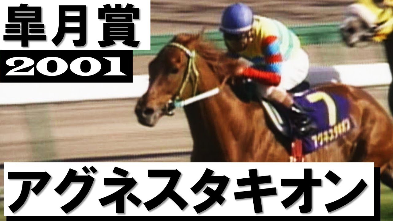 「アグネス、アグネス、大丈夫！」アグネスタキオン【皐月賞2001】