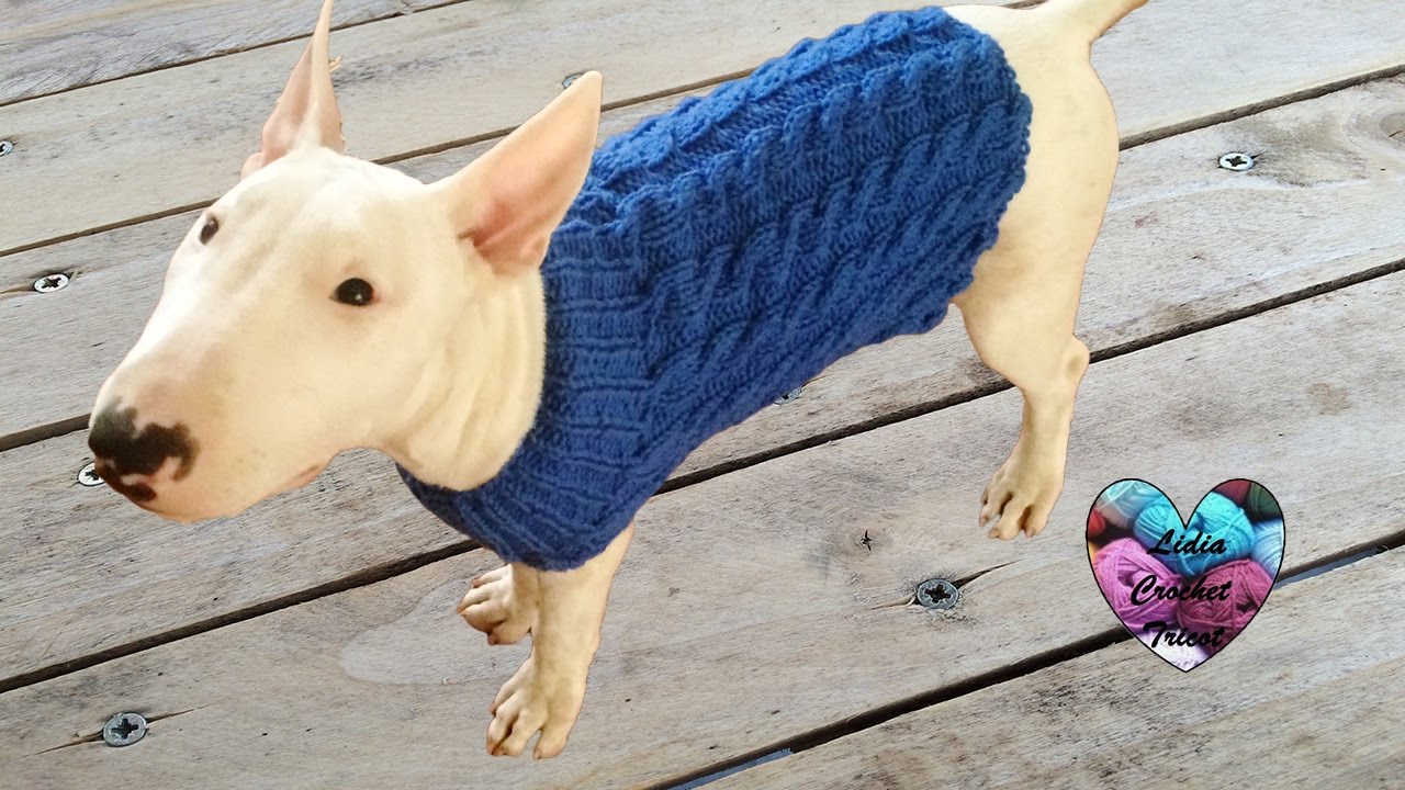 Pull pour chien à torsade tricot / Jersey de perro dos agujas con trenzas
