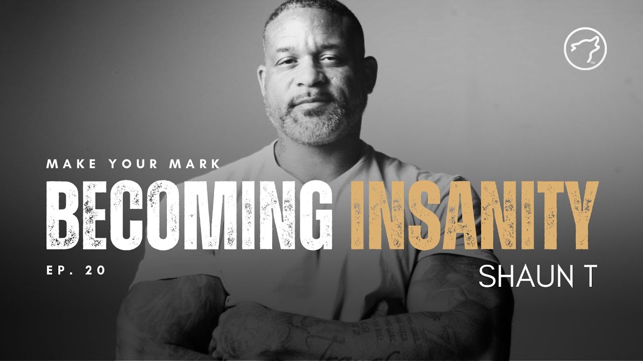 Shaun T's INSANITY