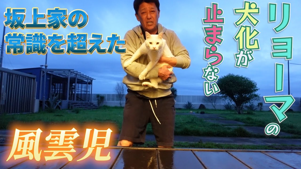 リョーマの犬化計画進行中！ドッグランでの新たな挑戦