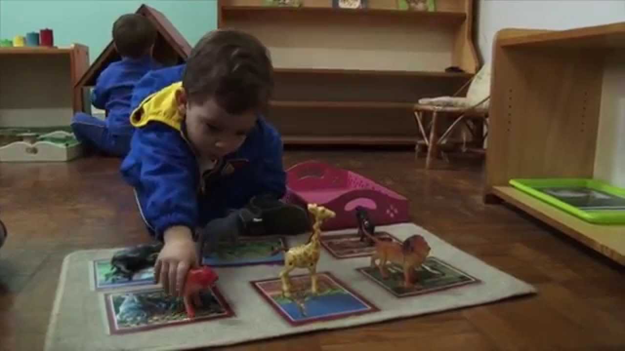 EDUCAÇÃO MONTESSORI