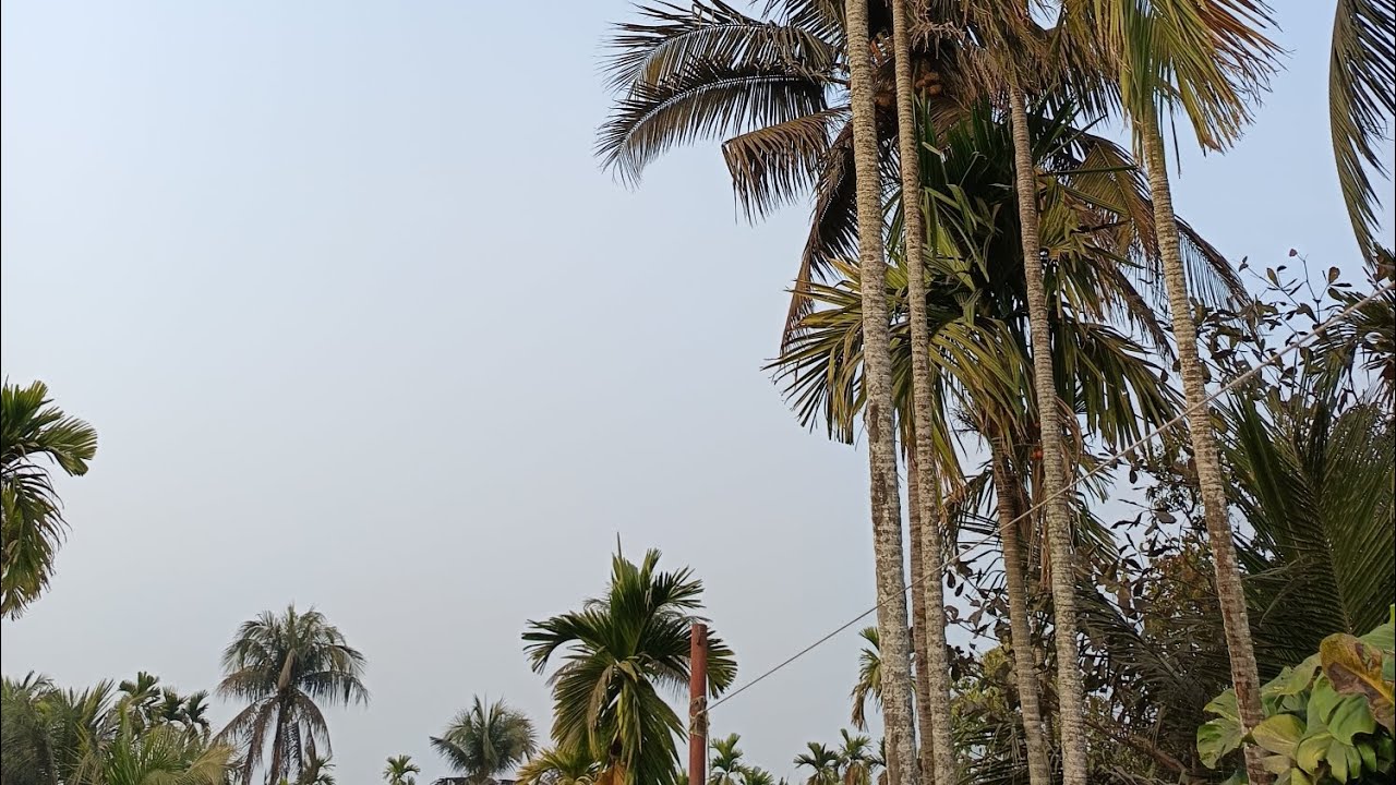 Bengali Vlog # অনেক দিন পর আমি আর পিপিং বাইরে একটু ঘুরতে বেরোলাম 😊