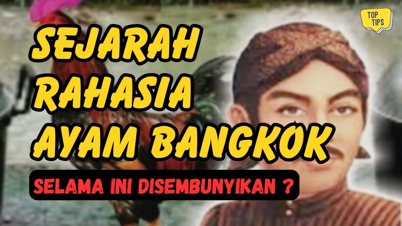 Sejarah Ayam Bangkok: Perjalanan Panjang yang Jarang Diceritakan