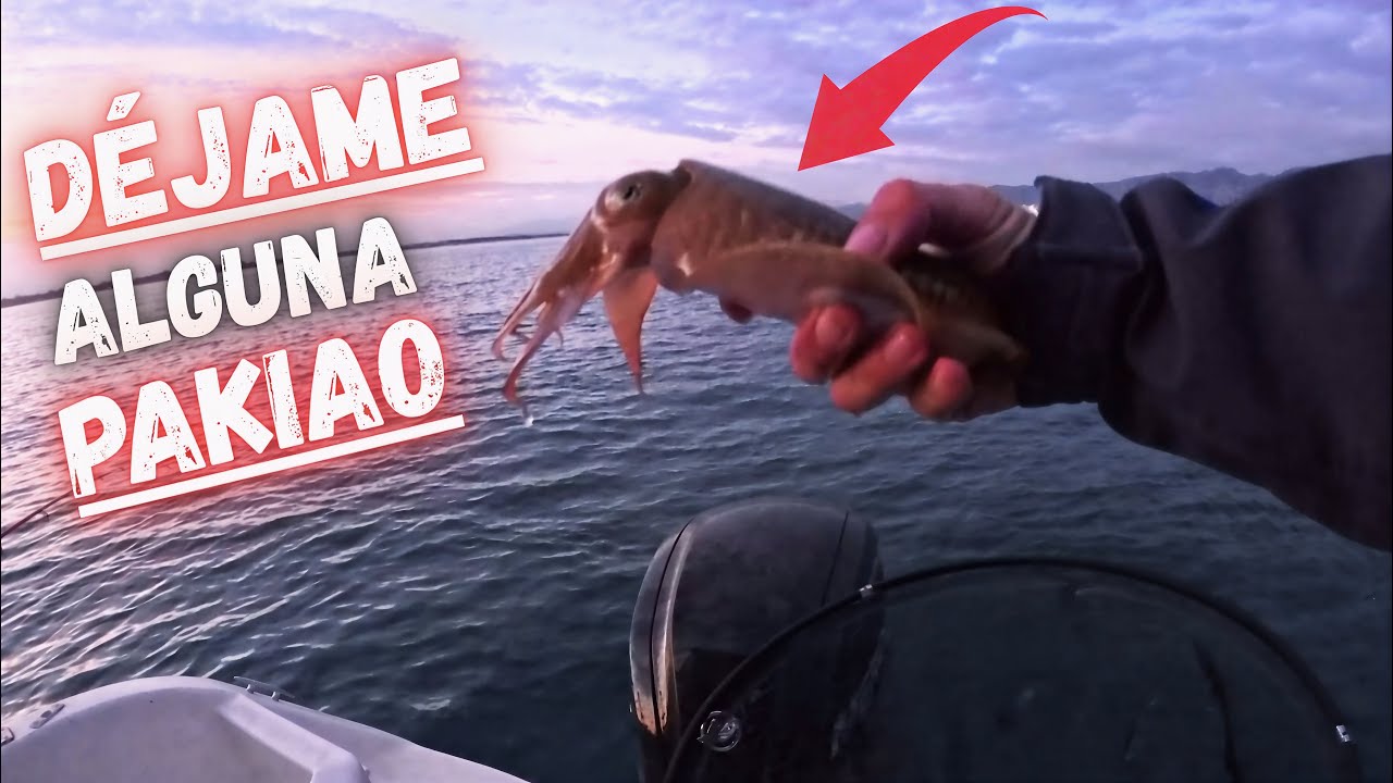 La Jornada Perfecta de Eging Calamar, Sepia y Pulpo Sin Descanso