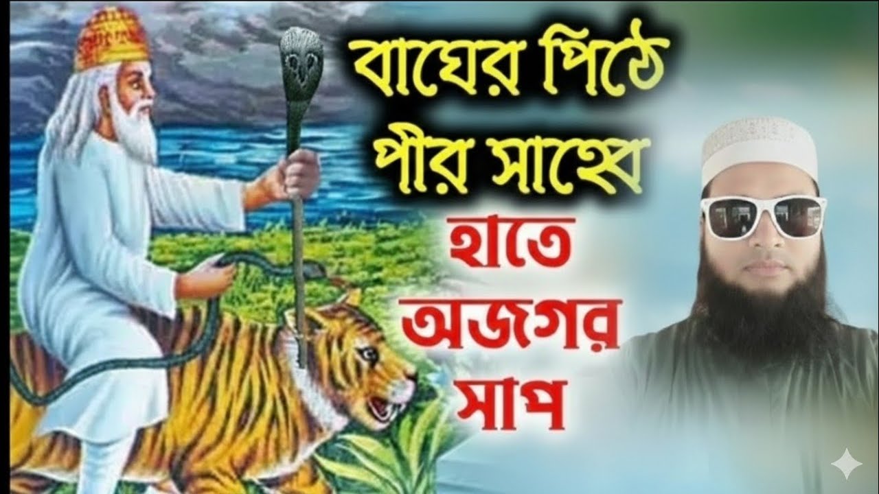 বাঘের পিঠে আরোহন করে এক পীর সাহেব নিজ এলাকাতে আড়োরন সৃষ্টি করলেন।