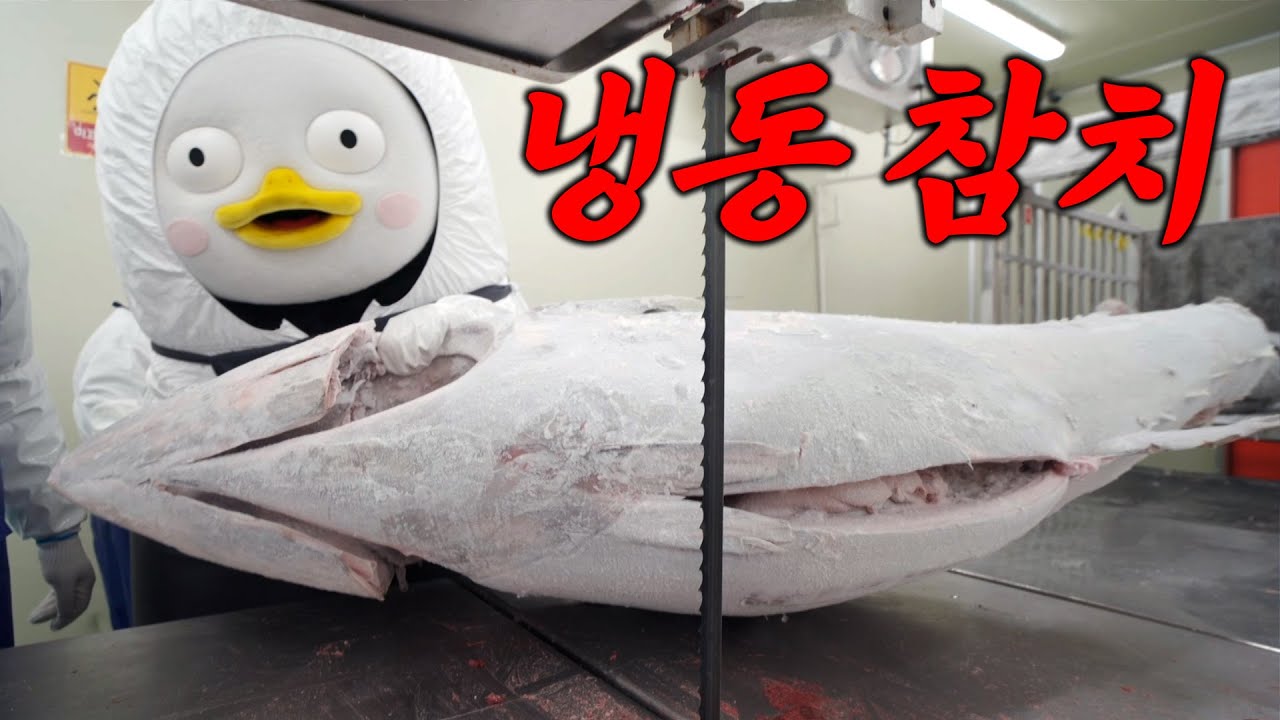 참치 공장에서 150kg 참치 오마카세 먹는 법  [EP.429](ENG/JPN)