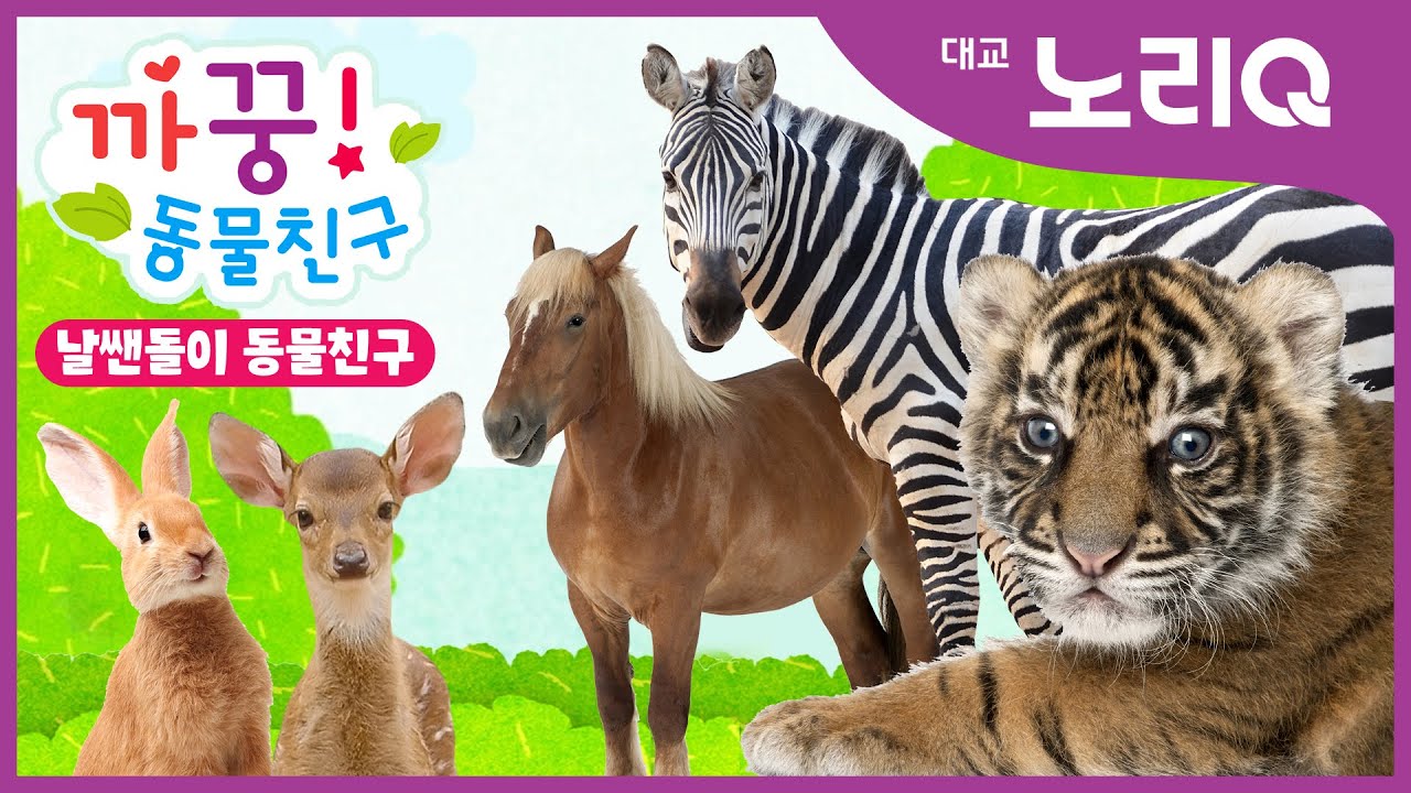 🙈🙉까꿍! 날쌘돌이 동물친구ㅣ자연관찰ㅣ대교 노리QㅣBabies&KidsㅣPikaboo! Animal friendsㅣDaekyo noriQ