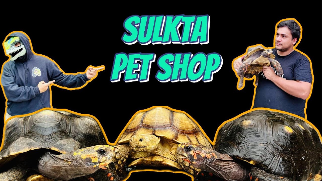 ¡Animales exclusivos! 😱