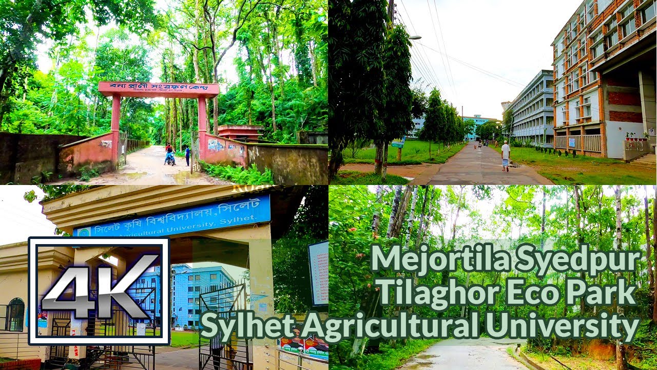 Sylhet 4K | Driving From Mejortila - AlurTol - Tilaghor Eco Park - Sylhet Agricultural University
