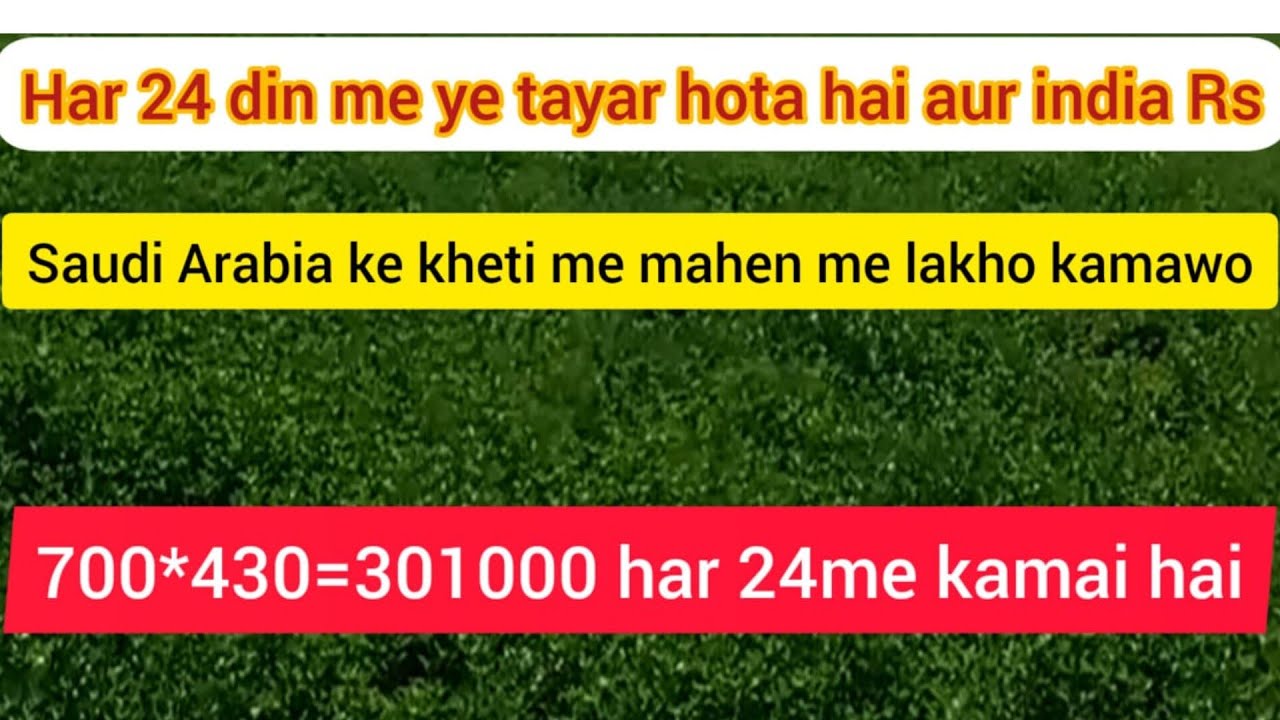 KHETI KARO CARORR PATI BANO