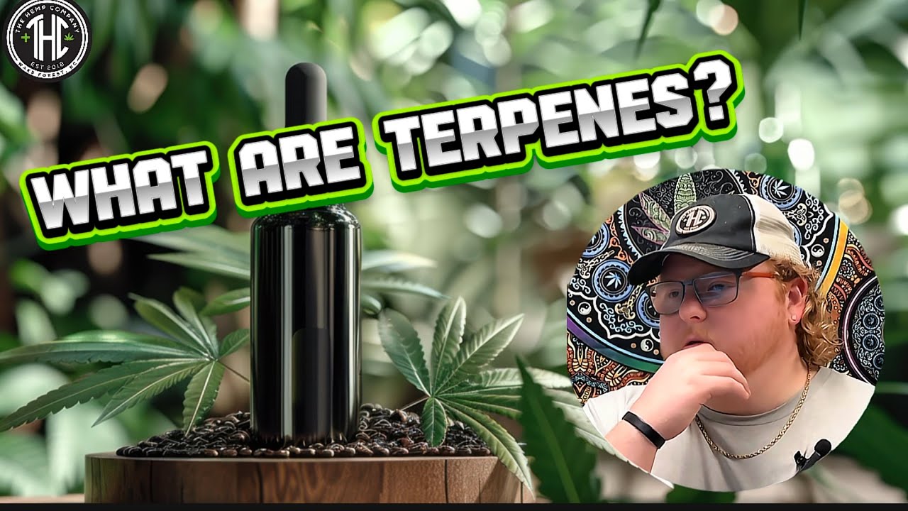 Stop Ignoring the Smell: The Hidden Science of Terpenes (Aromatherapy)