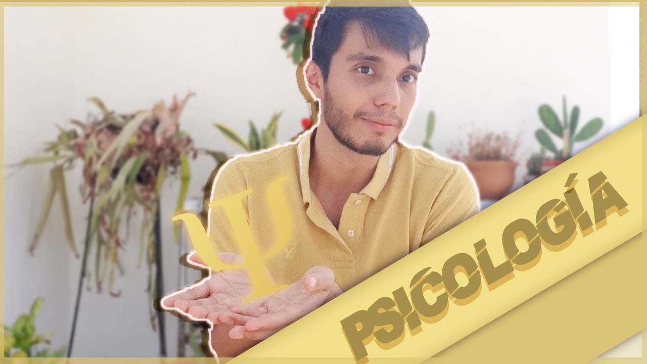 ¿Qué se Aprende en la Carrera de PSICOLOGÍA?