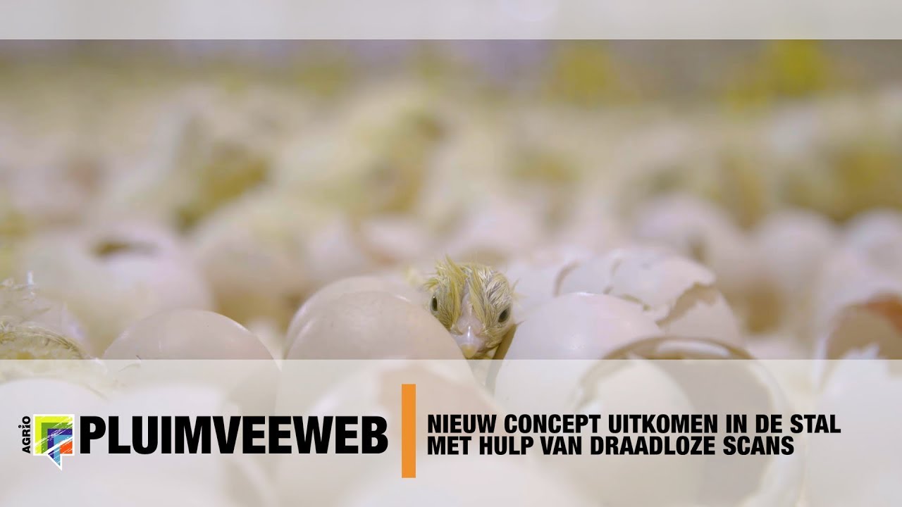 Nieuw concept uitkomen in de stal met hulp van draadloze scans