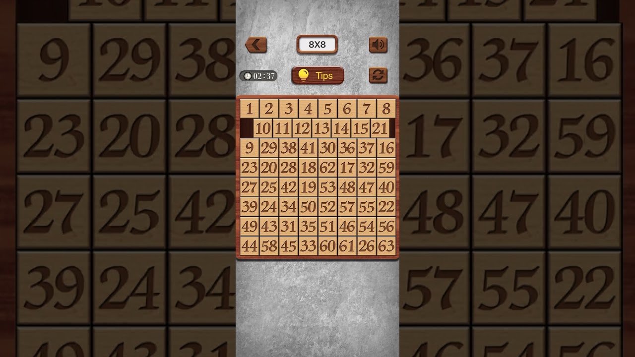 Numpuz 8x8