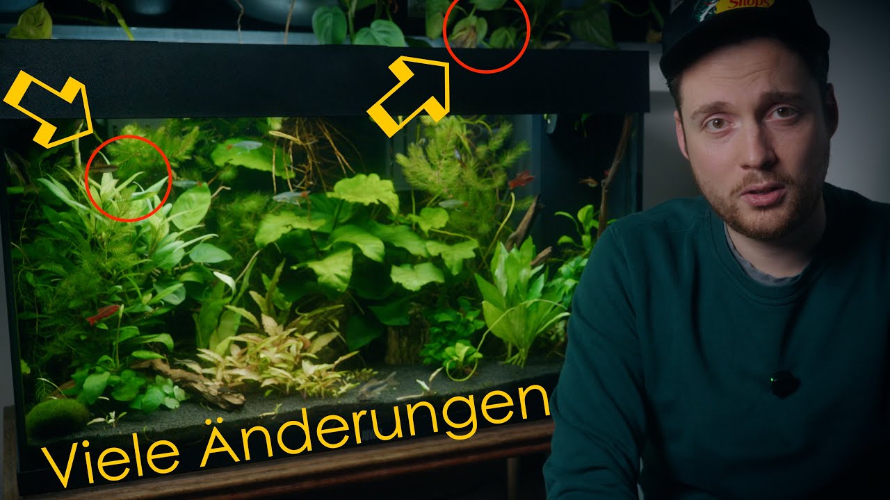 Juwel Rio 125 Liter Aquarium – Neue Farben & Leben | 2025 Finale
