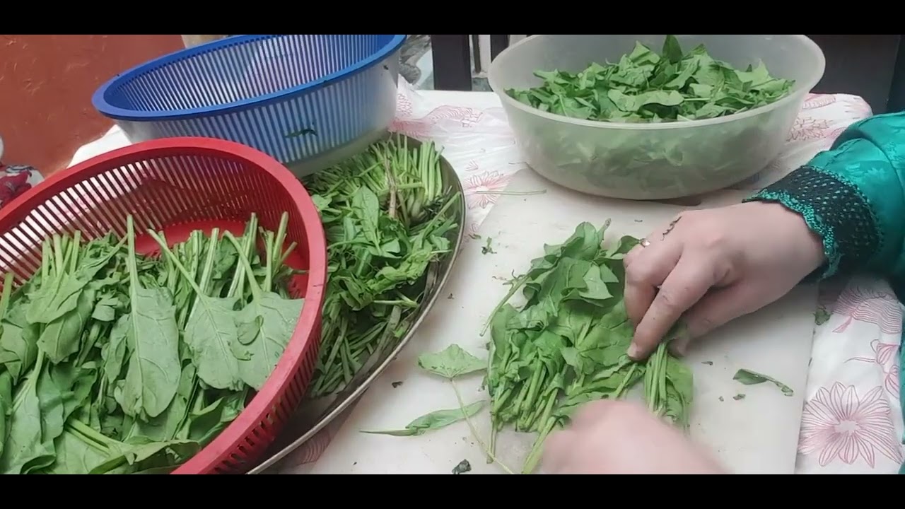 يا سبانخ الهنا ياريتني كنت انا (تنضيف السبانخ باسهل طريقة)