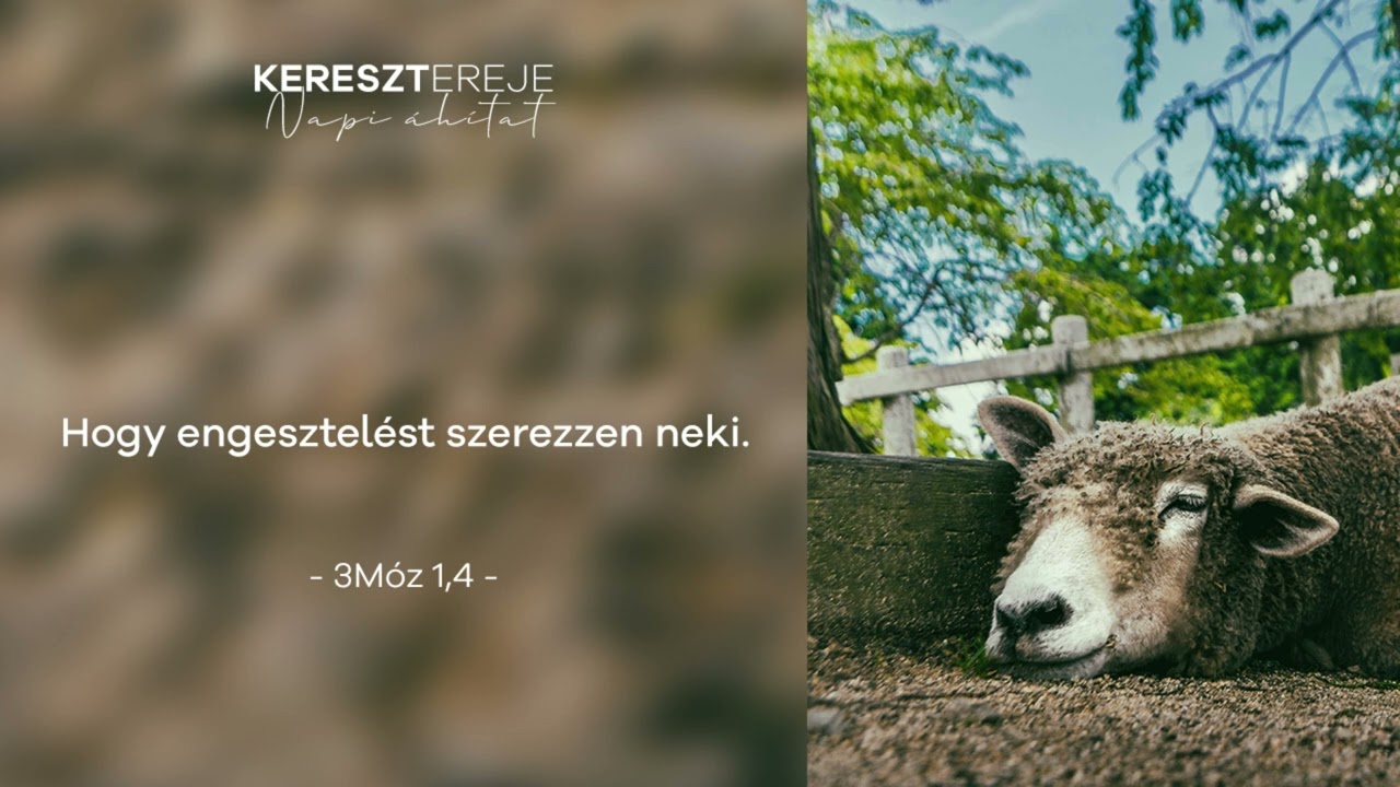 Hogy engesztelést szerezzen neki - Napi áhítat