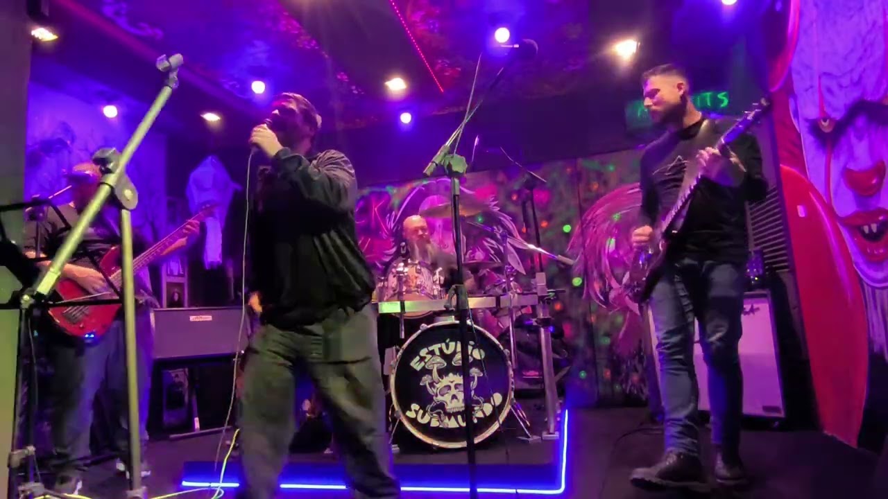 Immigrant Song - Led Zeppelin Cover by Mr Mutt