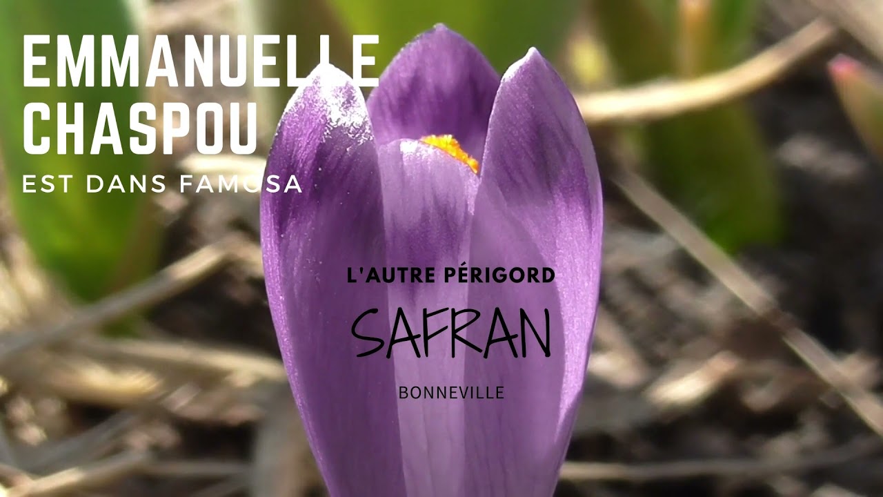 D&eacute;couvrez le nouveau num&eacute;ro de FAMOSA, le magazine des femmes en P&eacute;rigord
