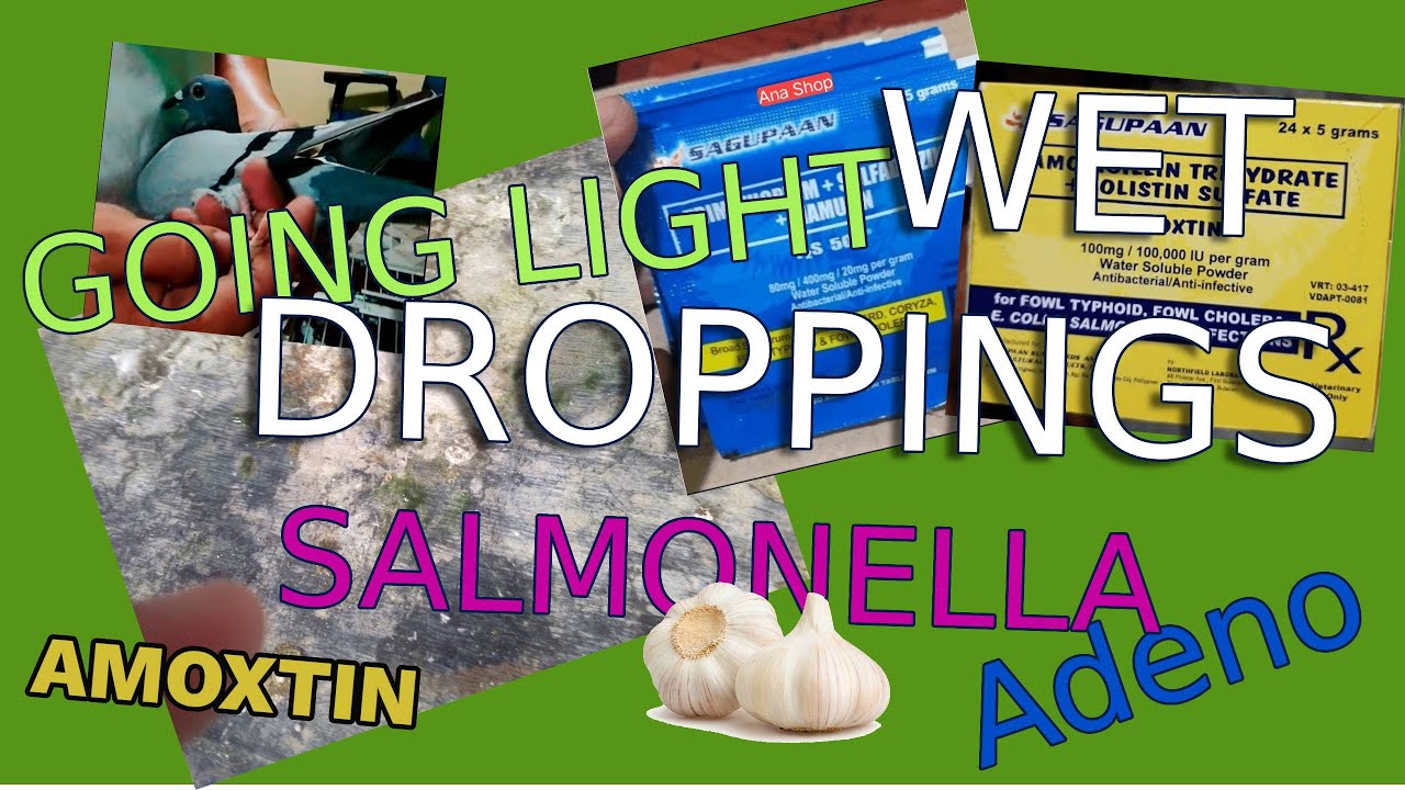 Wet Dropping - Basa ang ipot