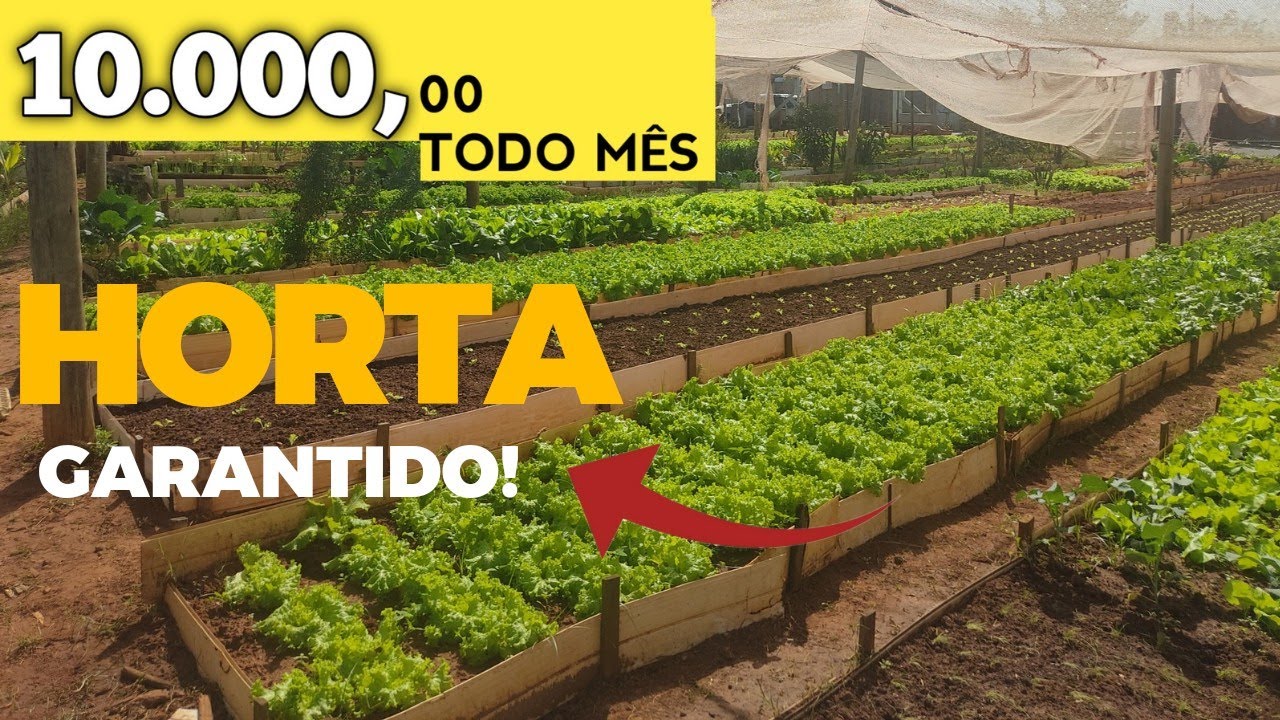 COMO GANHAR DINHEIRO R&Aacute;PIDO E F&Aacute;CIL COM HORTA E HORTALI&Ccedil;A