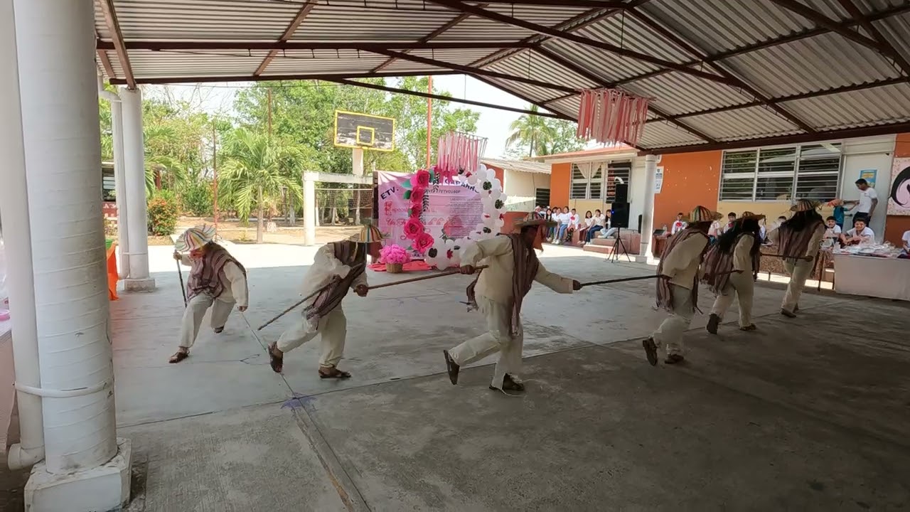 Danza de los viejitos mayo de 2024