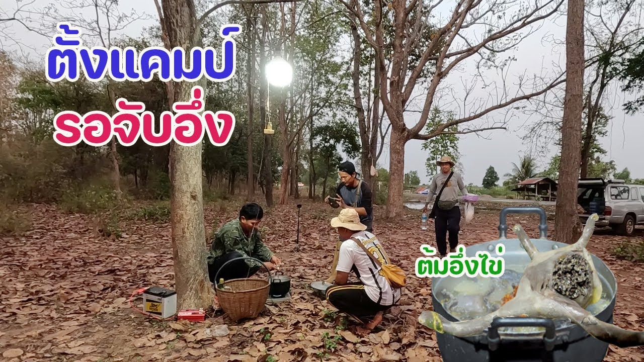 ตั้งแคมป์รอจับอึ่ง คนมาเยอะ คืนนี้อึ่งออกแน่ ต้มอึ่งไข่กินข้าวกลางป่ากับทีมงาน