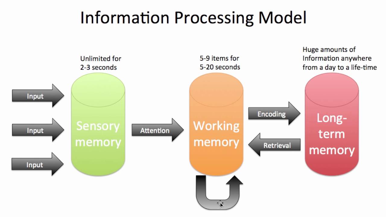 information processing model
