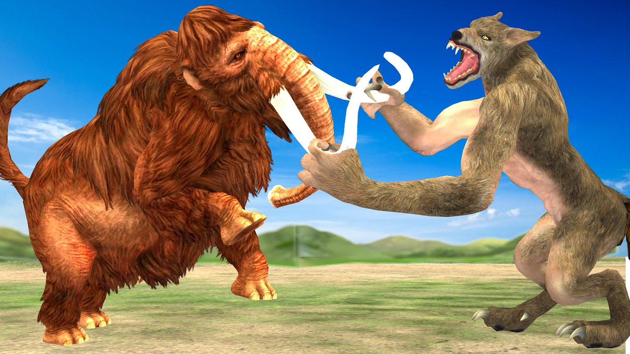 Giant Tiger wolf Attacks Cow Cartoon Saved By Giant Bull, Woolly Mammoth Elephant
