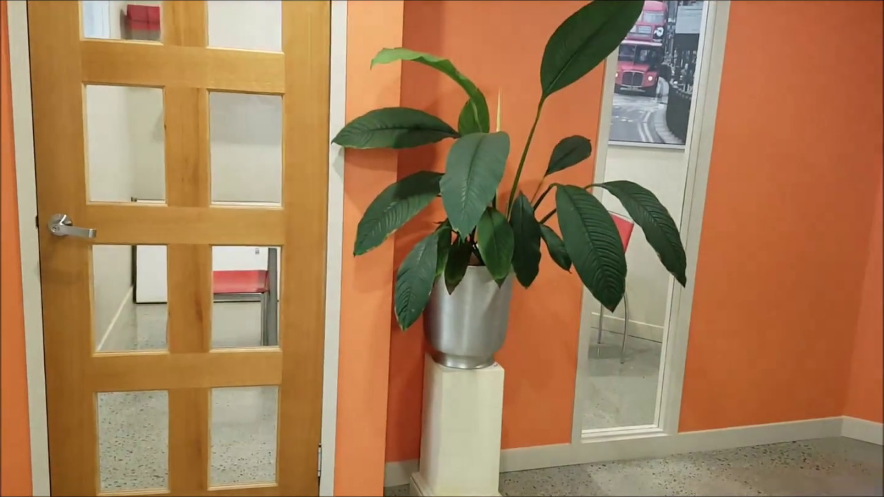 Professional Office for Lease