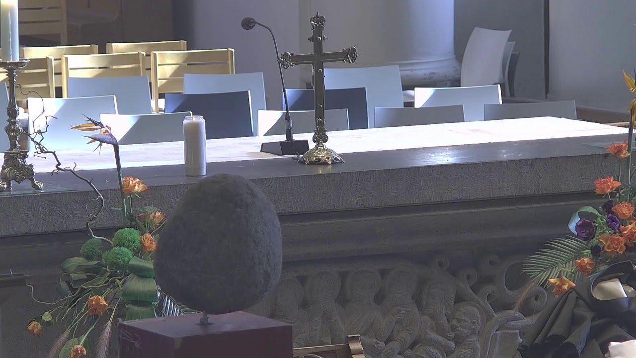 Livestream Basiliek Sint Jan de Doper - Opening carnaval 14 febr. 2026 (beide vieringen)
