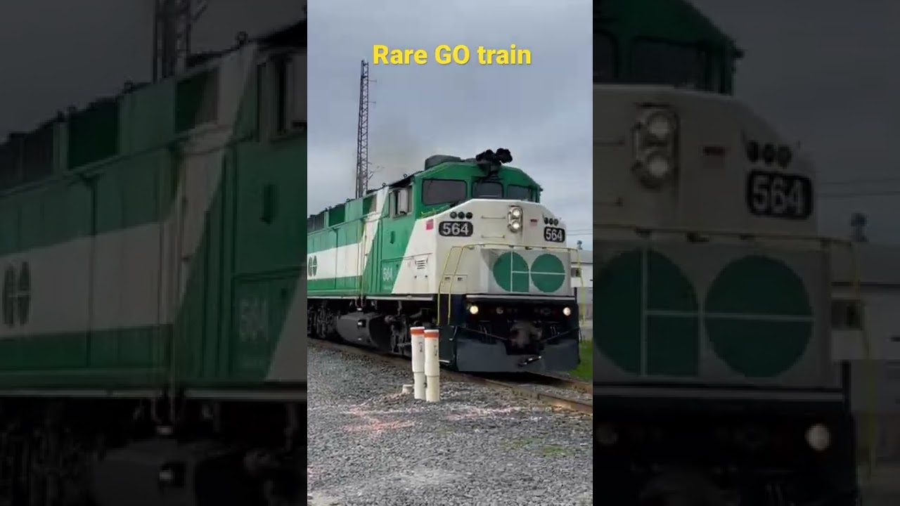 Rare GO train
