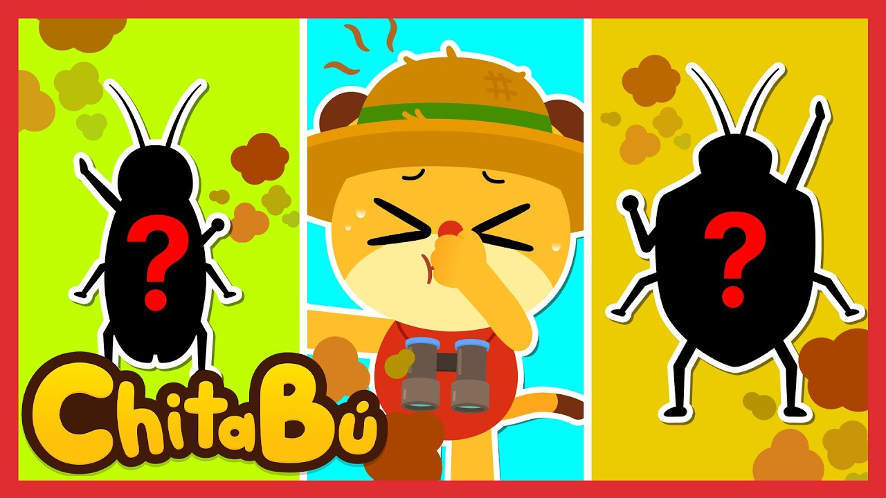 Insectos Asombrosos 🪲🪰🦟💨 | Canciones de Insectos | #ChitaB&uacute;