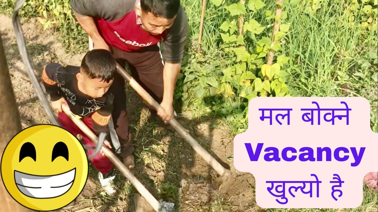 मल बोक्ने Vacancy खुल्यो है 😂 जन्डिसको औषधी 5 February 2026
