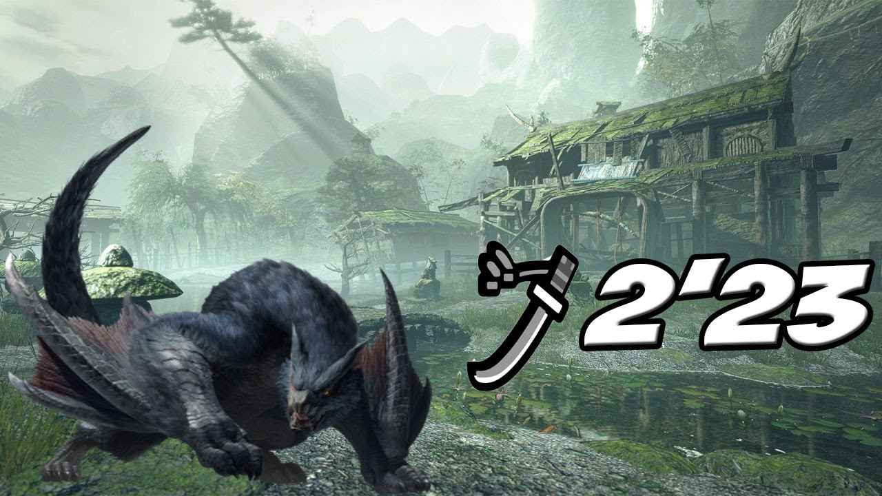 【MHR:SB】Nargacuga | 2'23 Long Sword