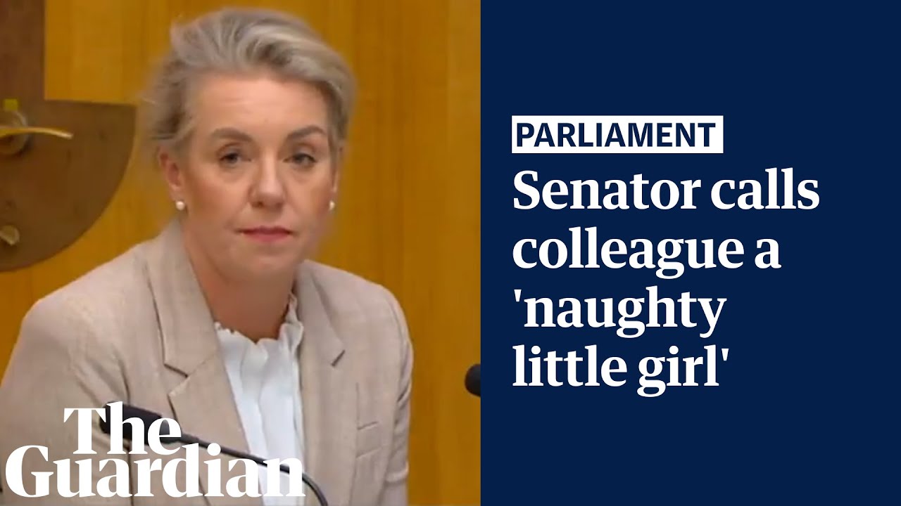 'Like a naughty little girl': Labor senator snaps at Bridget McKenzie during hearing