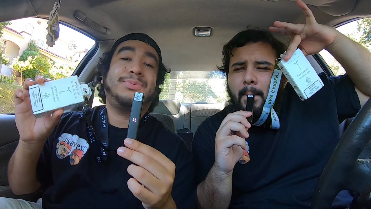 RAW GARDEN &ldquo;BEARY WHITE&rdquo; LIVE RESIN INDICA HYBRID PAX POD REVIEW & REACTION!