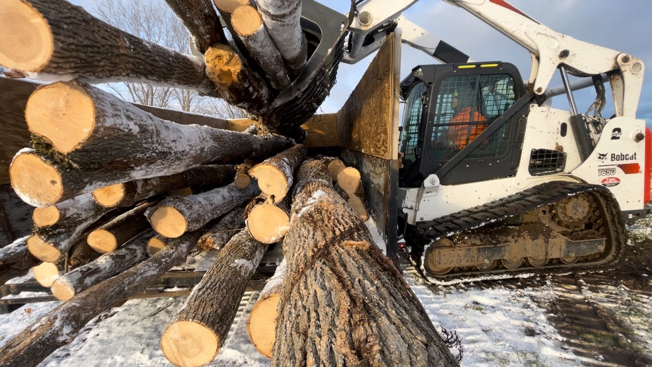 Where do YOU get your LOGS???