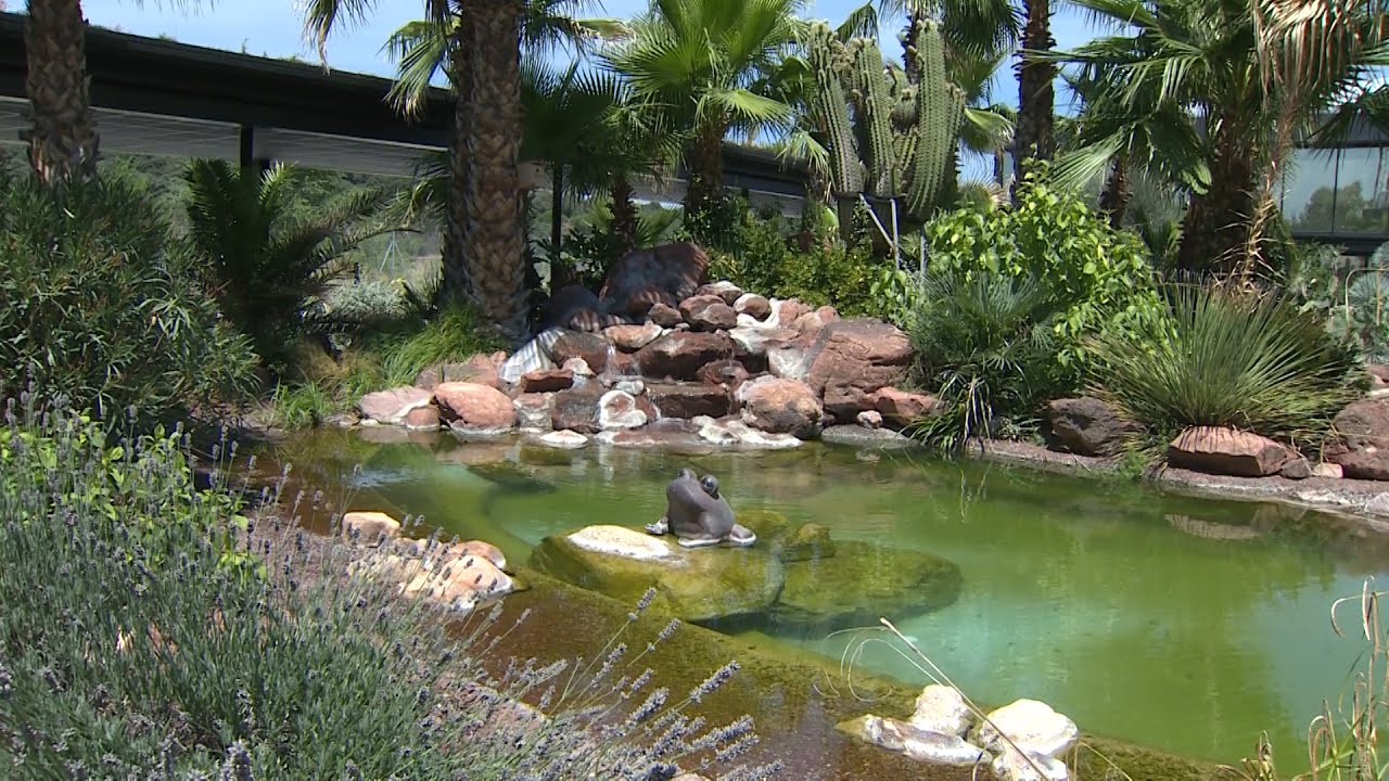 Inauguran un jardín con más de 400 tipos de cactus