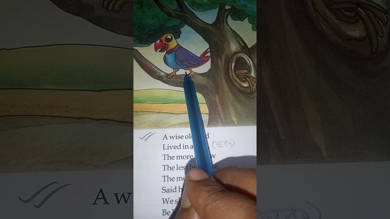 Class- 4(B)  A Wise 🐦 Bird