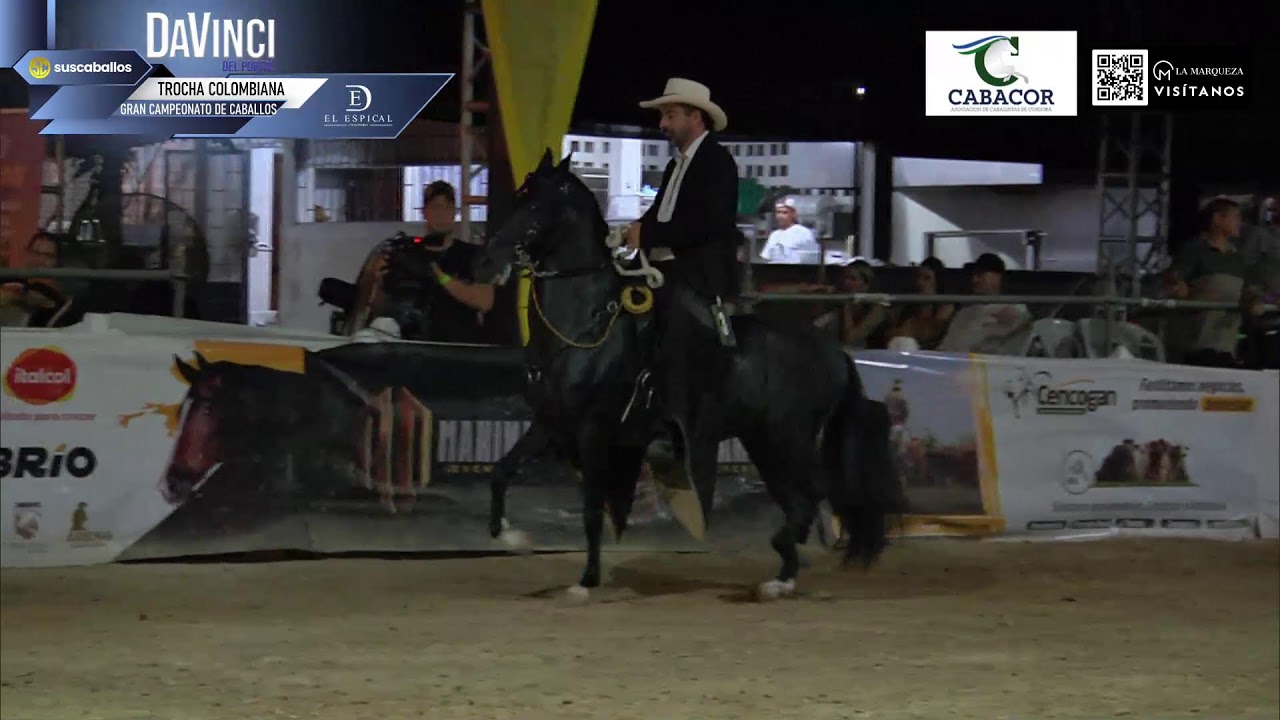 EXPOSICION EQUINA GRADO B - MONTERIA 2026 - DIA 1 - PASO FINO COLOMBIANO/TROCHA COLOMBIANA