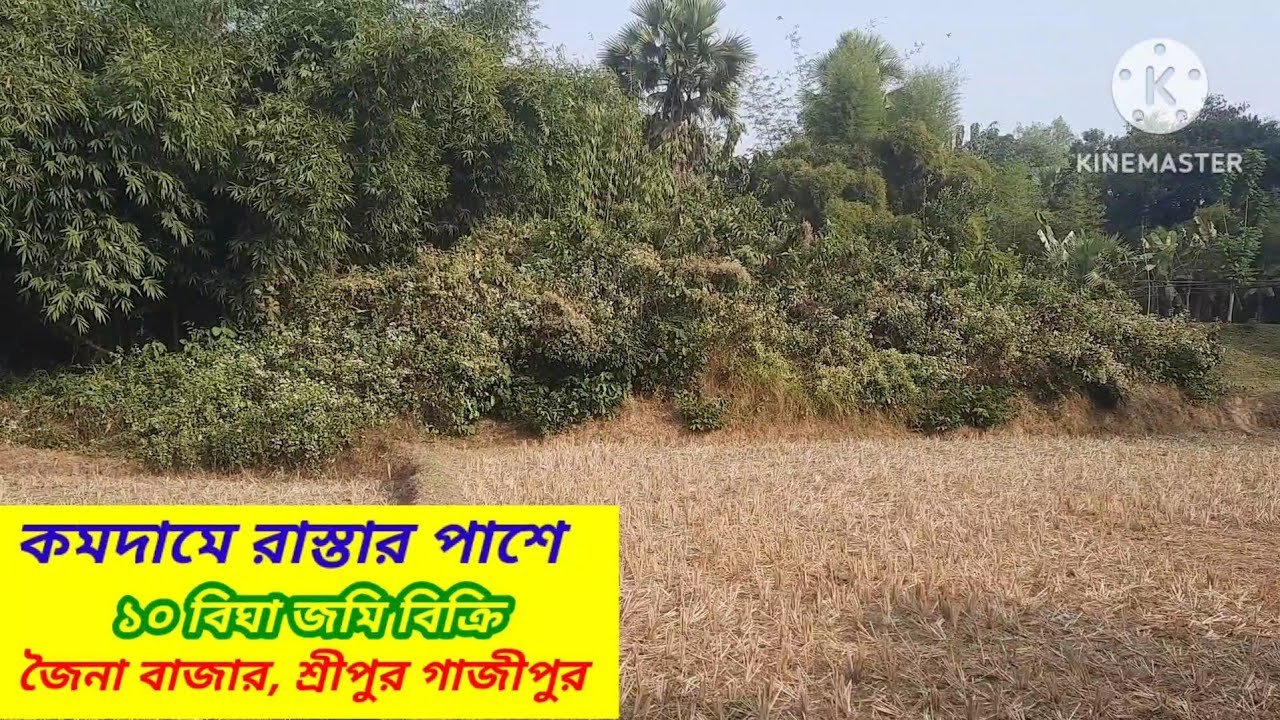 সাড়ে ৯ বিঘা জমি বিক্রয়।। শ্রীপুর গাজীপুর।। #Asset Seller #Land sale Sreepur Gazipur