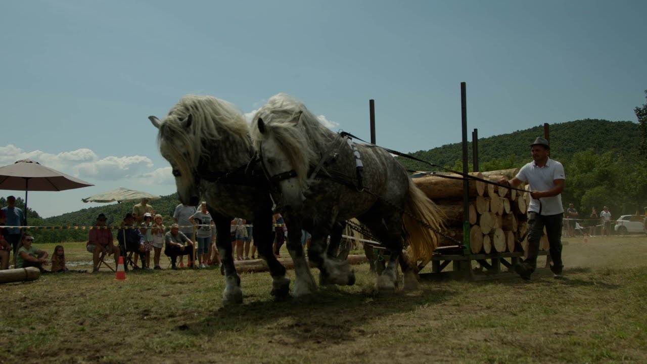 Kóspallagi Hagyományőrző Lovasnap 2023