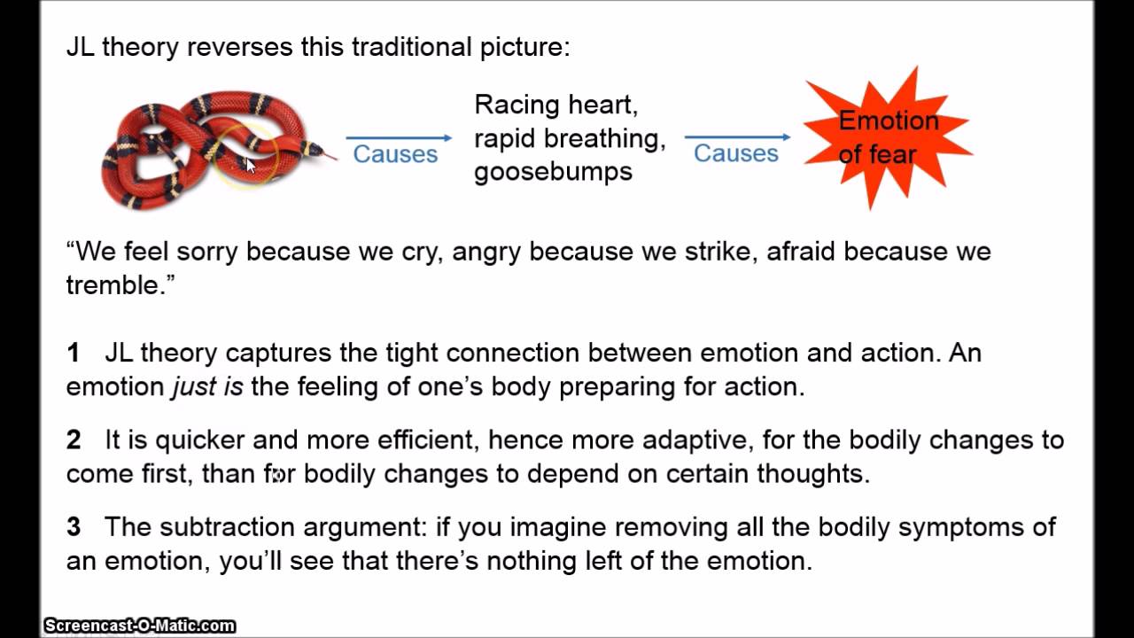 Philosophy of Emotion 1 - The James-Lange Theory