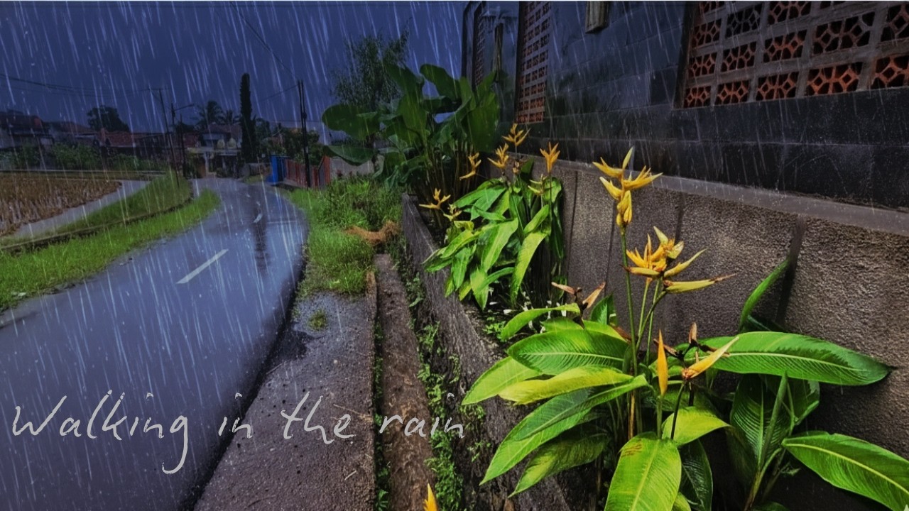 Peaceful Walking in the Rain 🌧️ Natural Rain Sounds for Deep Relaxation