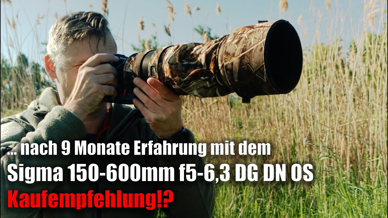 Sigma 150-600mm DG DN -  Klare Kaufempfehlung!? Meine Erfahrungen