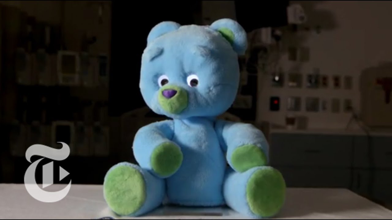 The Caring Bear | Robotica | The New York Times